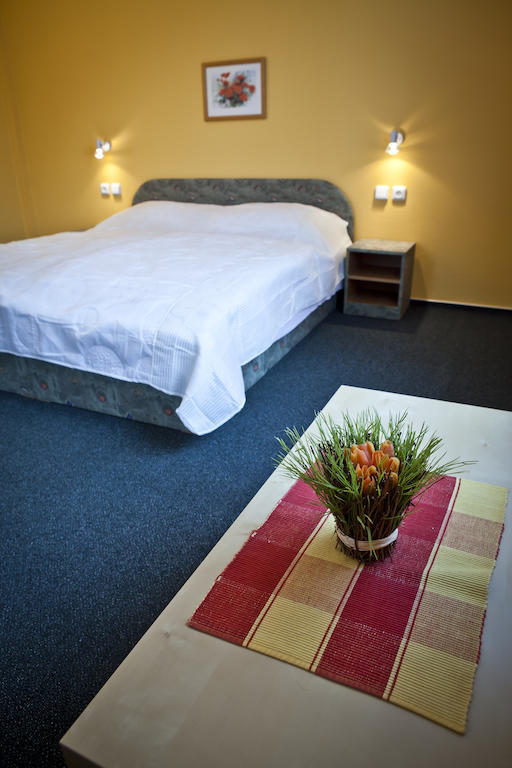 Vila Demanova Liptovsky Mikulas Room photo